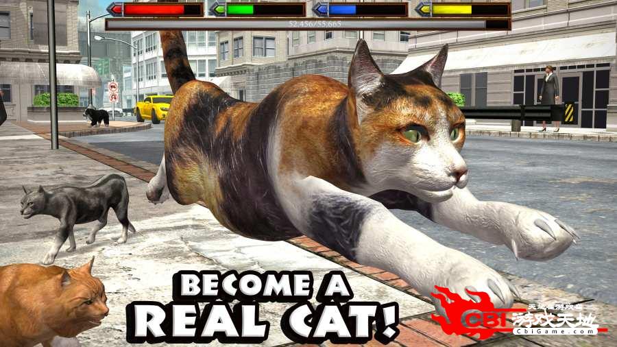 终极猫咪模拟图0