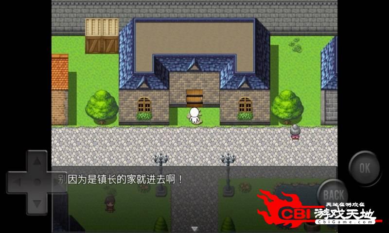 前卫粪作RPG图3