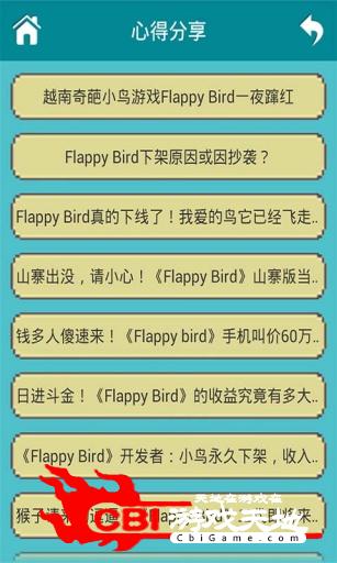 Flappy Bird微乐绝版攻略图2