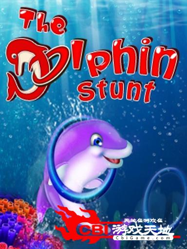 The Dolphin Stunt海豚特技图0