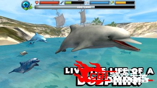 海豚模拟器图2