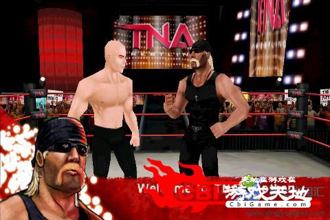 TNA拳击大赛图2