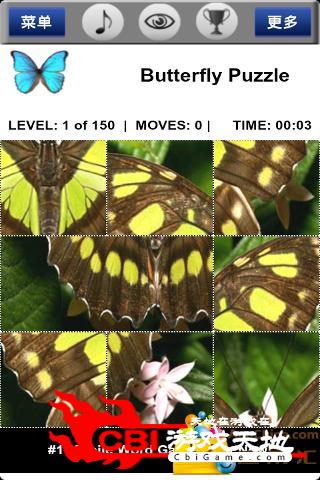 蝴蝶拼图 puzzle：butterfly图1