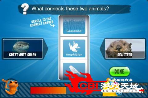 动物知识问答图2