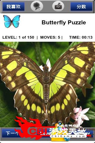 蝴蝶拼图 puzzle：butterfly图2