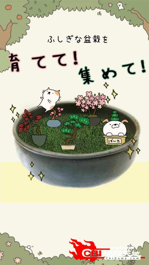 猫咪盆栽图1