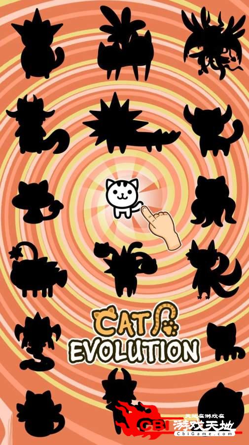 猫咪进化图3