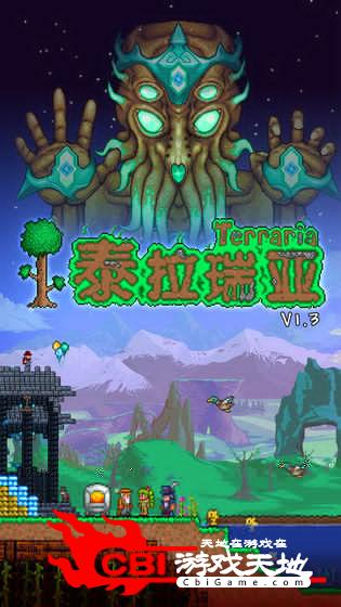 泰拉瑞亚rpg版图1