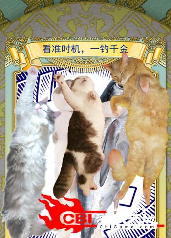 猫占卜图2