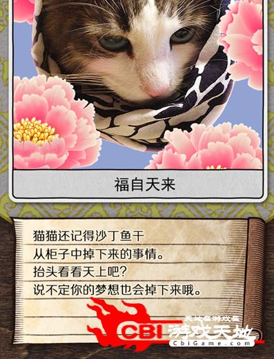 猫占卜图1