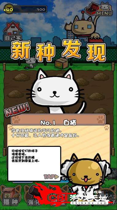 猫咪田种植图3