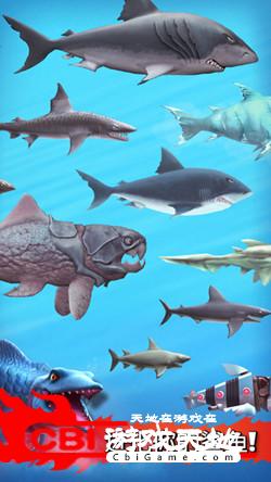 饥饿鲨鱼进化图2