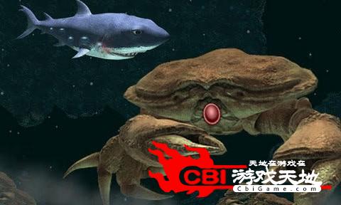 嗜血狂鲨2图3