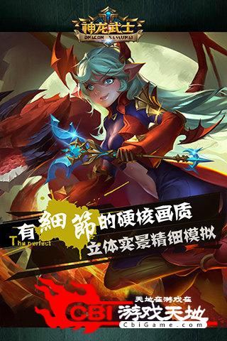 神龙武士图2