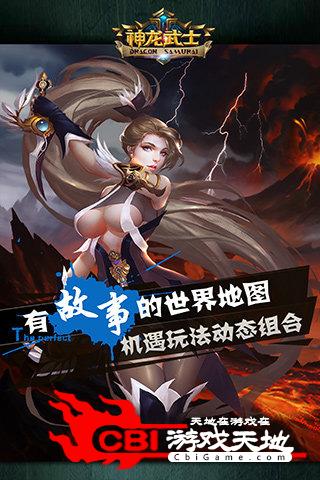 神龙武士图1