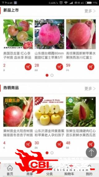 生态鲜果网购图2