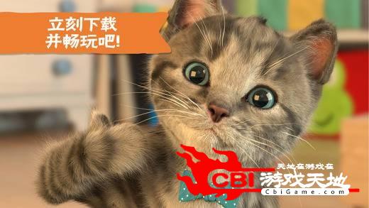 房间找猫咪图3