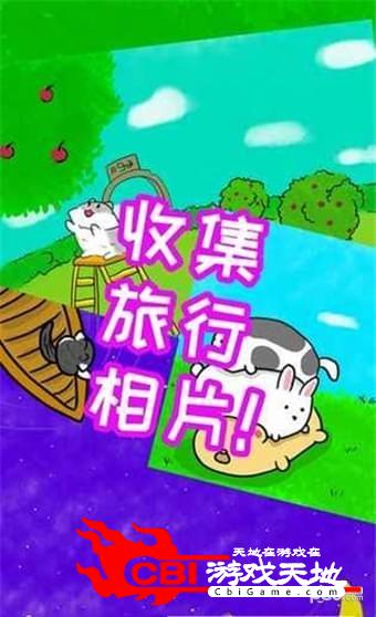 迷路的小猫图1