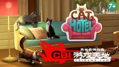 小猫咪逃出房间图3