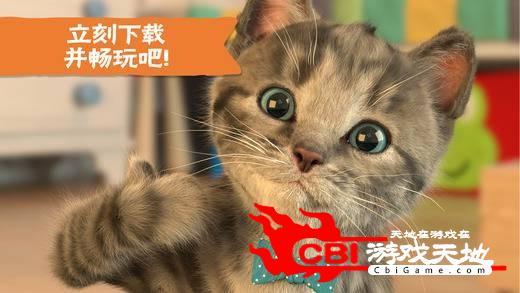 猫咪弹木琴中文版图3