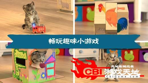猫咪弹木琴中文版图1