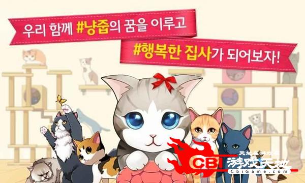 臭美的小猫图0