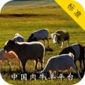 中国肉牛羊平台网购