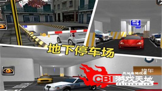 停车大师3D2图1