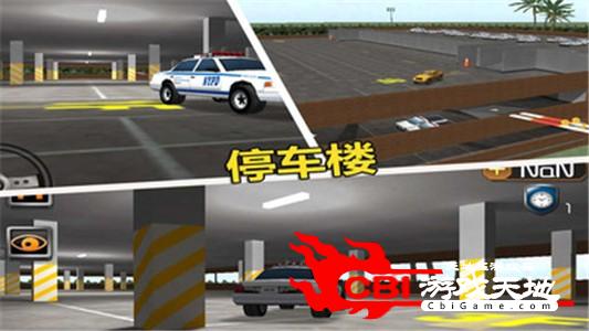 停车大师3D2图2