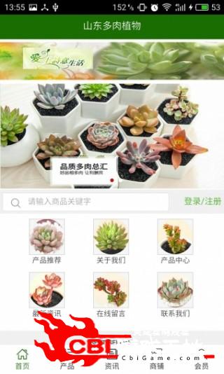 山东多肉植物购物图0