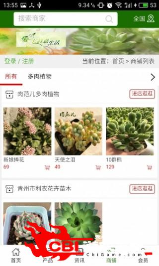 山东多肉植物购物图3