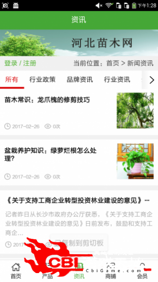 河北苗木网网购图2