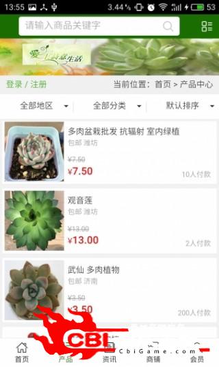 山东多肉植物购物图1