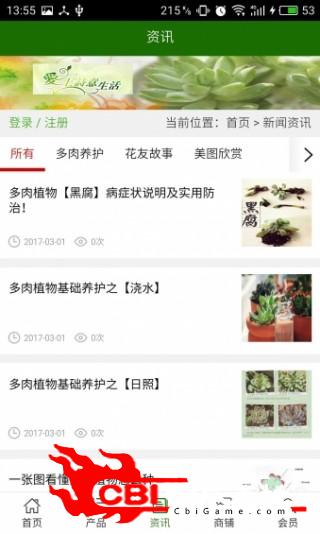 山东多肉植物购物图2