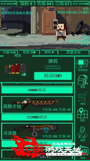 口袋辐射图2