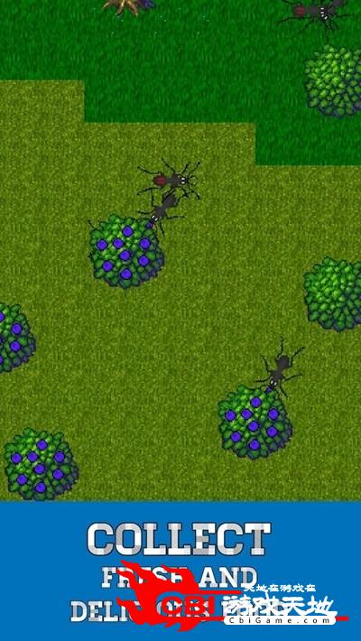 蚂蚁模拟器图0