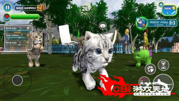 虚拟猫模拟器图1