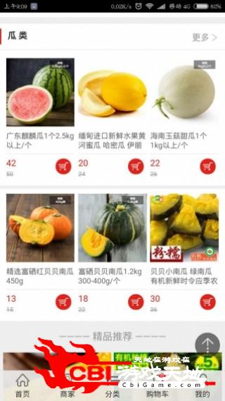 中国蔬菜网购物图3