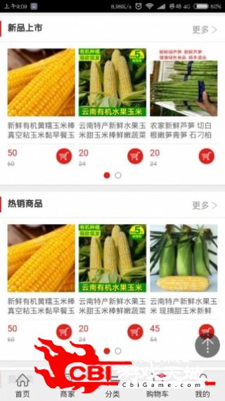 中国蔬菜网购物图1