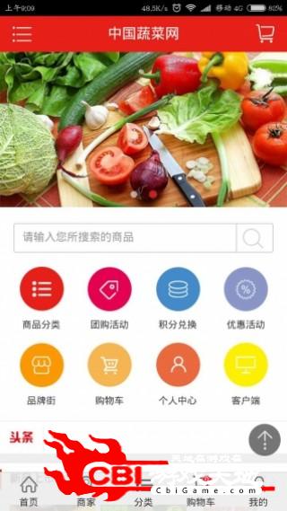 中国蔬菜网购物图0