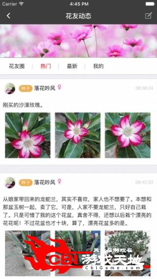 枫桥居花卉聊天图1