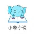 小象小说图书