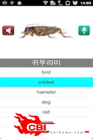 快速学韩语学韩语软件图0
