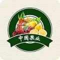 中国果业交易市场购物