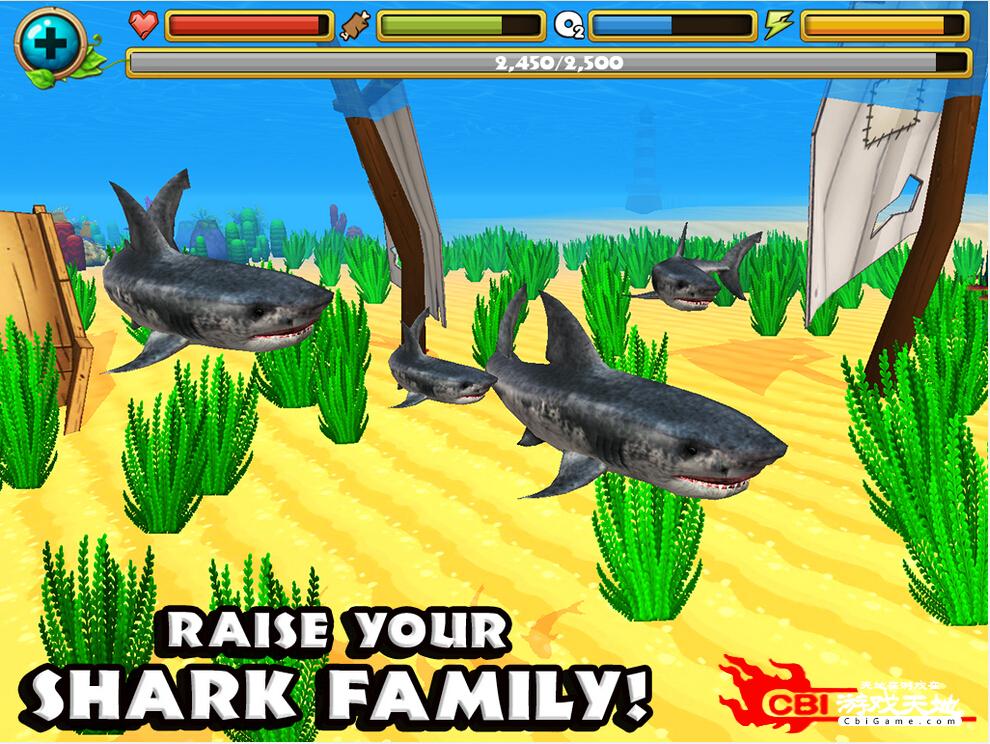 鲨鱼模拟图3