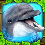 海豚模拟