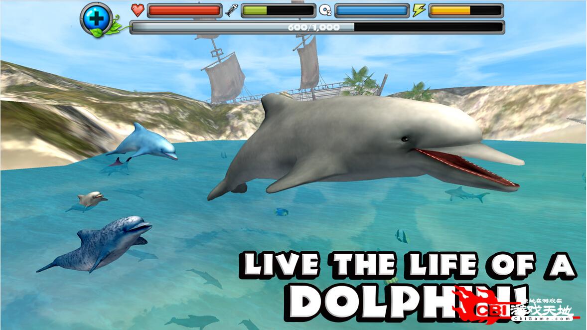海豚模拟图0