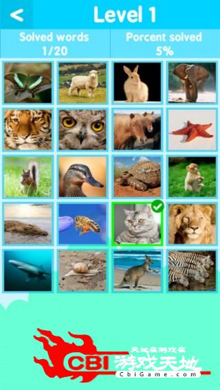 动物单词测验英语消消乐图1