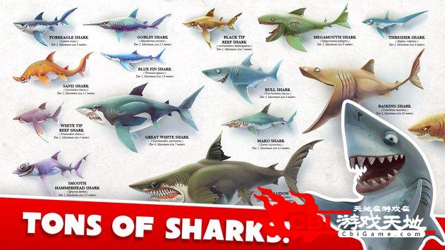 饥饿鲨世界3D图1