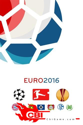 年歐錦賽2016图3